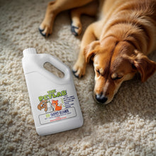 Load image into Gallery viewer, PawLab 2L Carpet Shampoo