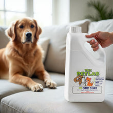 Load image into Gallery viewer, PawLab 2L Carpet Shampoo