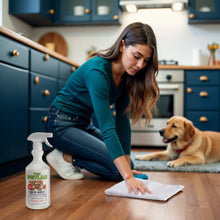 Load image into Gallery viewer, Indoor Surface Clean &amp; Disinfect Bundle