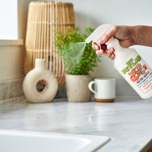 Load image into Gallery viewer, Indoor Surface Clean &amp; Disinfect Bundle