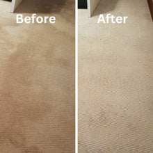 Load image into Gallery viewer, PawLab 2L Carpet Shampoo