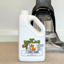 Load image into Gallery viewer, PawLab 2L Carpet Shampoo