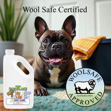 Load image into Gallery viewer, PawLab 2L Carpet Shampoo