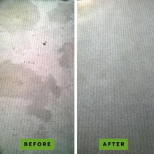 Load image into Gallery viewer, PawLab 2L Carpet Shampoo