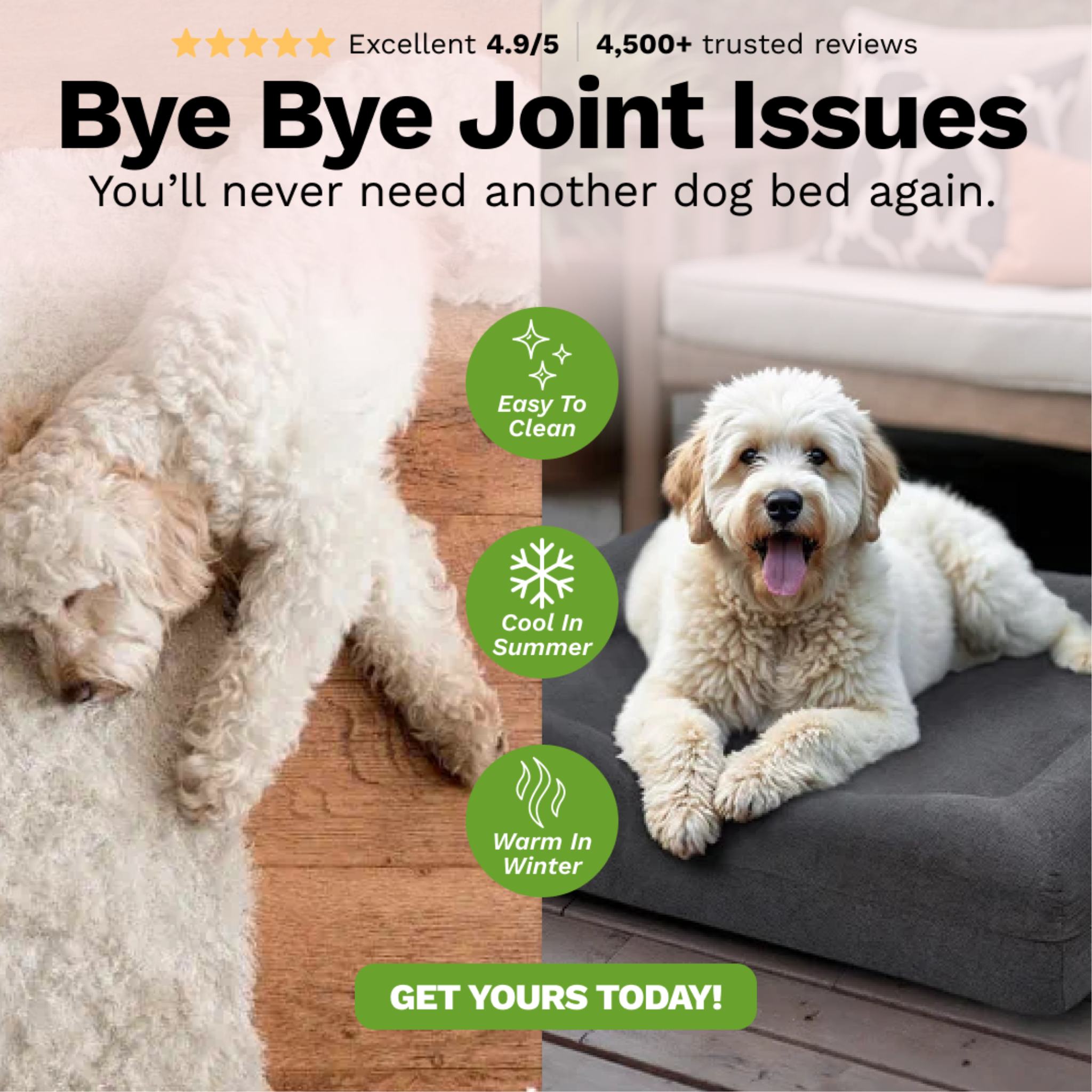 PawLab SeasonSmart™ Orthopaedic Memory Foam Dog Bed