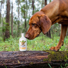 Load image into Gallery viewer, PawLab 2-In-1 Dog Shampoo + Conditioner