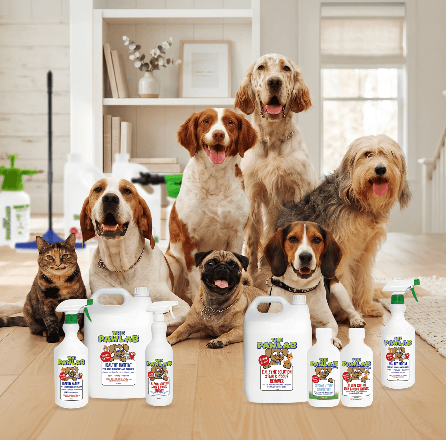 PawLab sale products