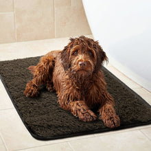 Load image into Gallery viewer, PawLab GrubbyPaw Outdoor Mat