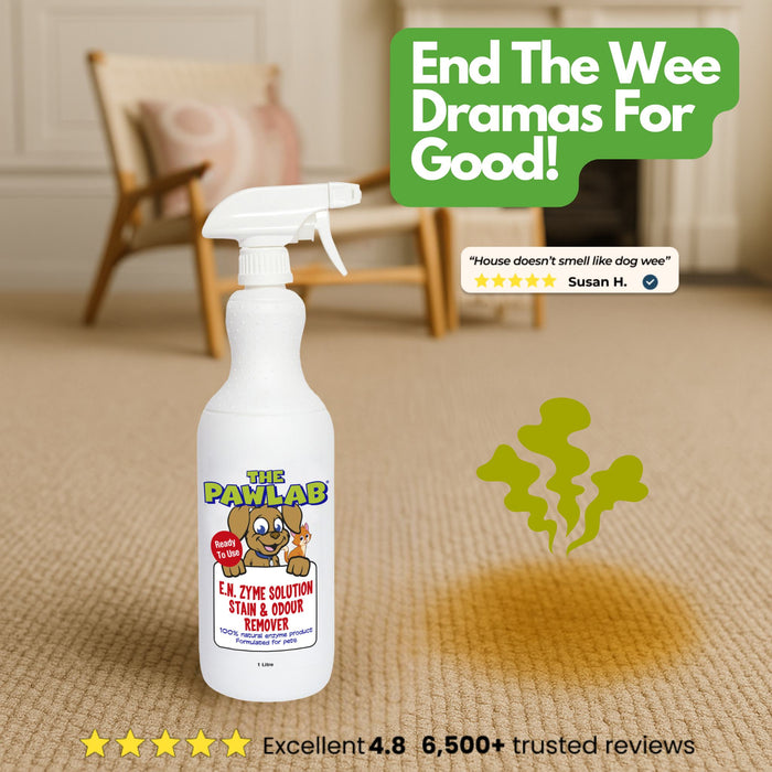 PawLab 1L Enzyme Urine Stain & Odour Remover