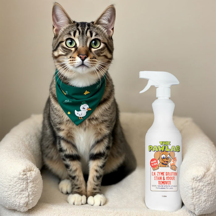 PawLab 1L Enzyme Urine Stain & Odour Remover