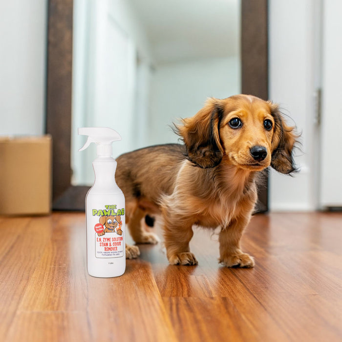 PawLab 1L Enzyme Urine Stain & Odour Remover