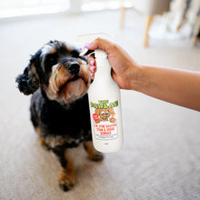 Load image into Gallery viewer, PawLab 1L Urine Stain &amp; Odour Remover Ready To Use Formula