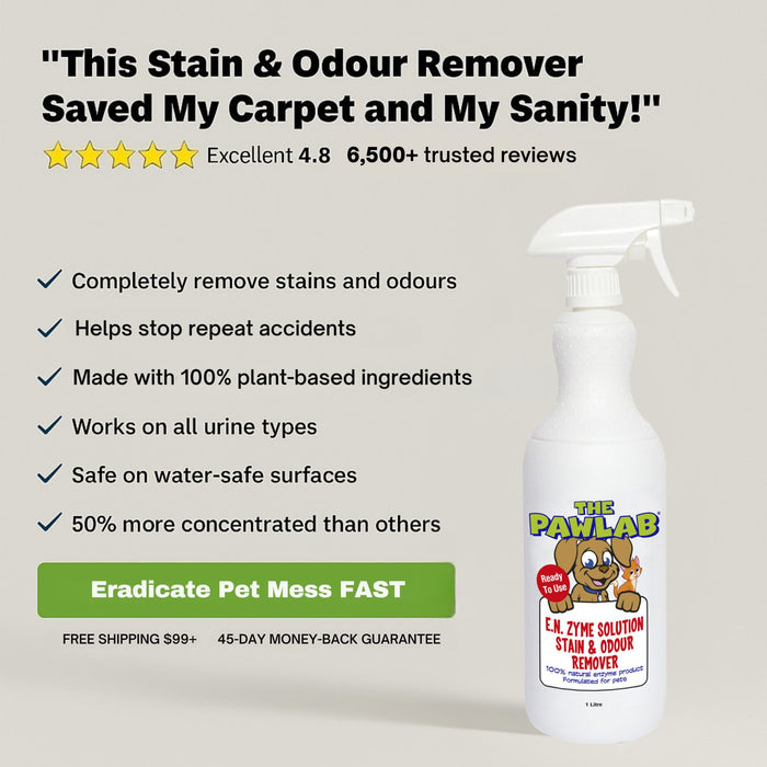 PawLab 1L Enzyme Urine Stain & Odour Remover
