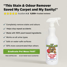 Load image into Gallery viewer, PawLab 1L Urine Stain &amp; Odour Remover Ready To Use Formula