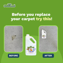 Load image into Gallery viewer, PawLab 2L Carpet Cleaner Shampoo