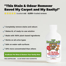 Load image into Gallery viewer, PawLab 300ml Enzyme Urine Stain &amp; Odour Remover Concentrate (Makes 6L)