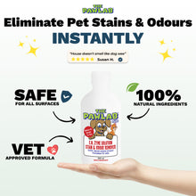 Load image into Gallery viewer, PawLab 300ml Artificial Grass Urine Treatment Kit (Makes 12L)