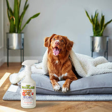 Load image into Gallery viewer, PawLab Healthy Habitat 750ml Disinfectant Cleaner
