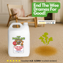 Load image into Gallery viewer, PawLab 5L Urine Stain &amp; Odour Remover Ready To Use Formula