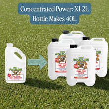 Load image into Gallery viewer, PawLab 2L Enzyme Urine Stain &amp; Odour Remover Concentrate (Makes 40L)