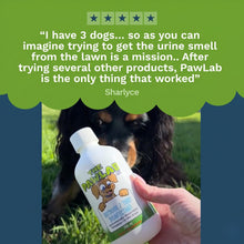 Load image into Gallery viewer, PawLab 300ml Artificial Grass Urine Treatment Kit (Makes 12L)