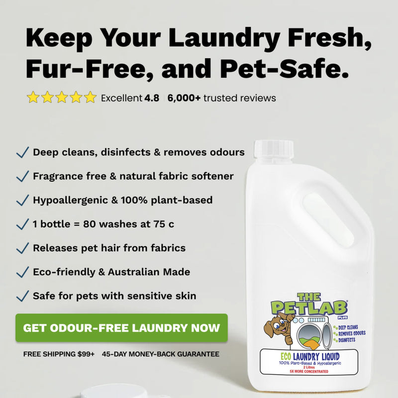 PawLab 2L Enzyme Laundry Liquid