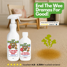 Load image into Gallery viewer, Stain &amp; Odour Refill Bundle