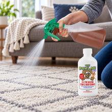 Load image into Gallery viewer, PawLab Pet Urine Carpet Cleaner Bundle