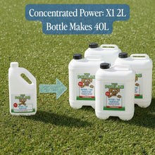 Load image into Gallery viewer, PawLab 2L Outdoor Disinfectant Cleaner Concentrate (Makes 40L)