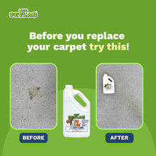 Load image into Gallery viewer, PawLab 2L Carpet Shampoo