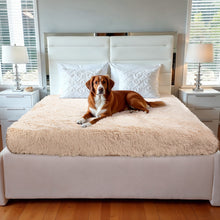 Load image into Gallery viewer, PawLab GrubbyPaw Throw Blanket