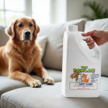 Load image into Gallery viewer, PawLab 2L Carpet Cleaner Shampoo