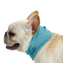 Load image into Gallery viewer, PawLab Dog Cooling Bandana