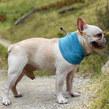 Load image into Gallery viewer, PawLab Dog Cooling Bandana