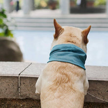 Load image into Gallery viewer, PawLab Dog Cooling Bandana
