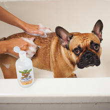 Load image into Gallery viewer, PawLab 2-In-1 Dog Shampoo + Conditioner