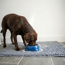 Load image into Gallery viewer, PawLab GrubbyPaw Doormat - Traps Dirt Instantly (Ultra Absorbent Microfibre Chenille)