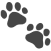 Support dog