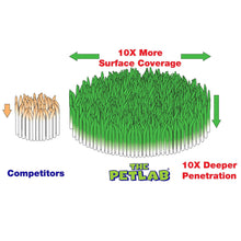 Load image into Gallery viewer, Large Yard Artificial Grass Urine Treatment Kit + Hose-On Sprayer (Makes 80L)