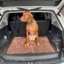 Load image into Gallery viewer, PawLab GrubbyPaw Doormat - Traps Dirt Instantly (Ultra Absorbent Microfibre Chenille)