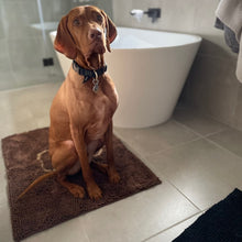 Load image into Gallery viewer, PawLab GrubbyPaw Doormat - Traps Dirt Instantly (Ultra Absorbent Microfibre Chenille)