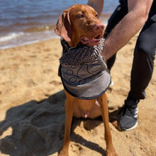 Load image into Gallery viewer, PawLab GrubbyPaw Shammy Towel - Dries Your Pooch Instantly (Ultra Absorbent Microfibre Chenille)