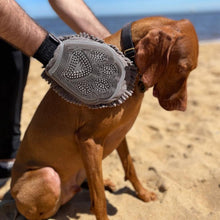 Load image into Gallery viewer, PawLab GrubbyPaw Grooming Mitt - Dries Your Pooch Instantly &amp; Removes Excess Hair