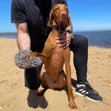 Load image into Gallery viewer, PawLab GrubbyPaw Grooming Mitt - Dries Your Pooch Instantly &amp; Removes Excess Hair