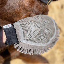 Load image into Gallery viewer, PawLab GrubbyPaw Grooming Mitt - Dries Your Pooch Instantly &amp; Removes Excess Hair