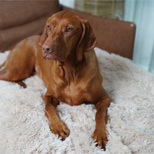 Load image into Gallery viewer, PawLab GrubbyPaw Throw Blanket