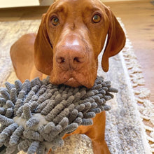 Load image into Gallery viewer, PawLab GrubbyPaw Slobber Swabber